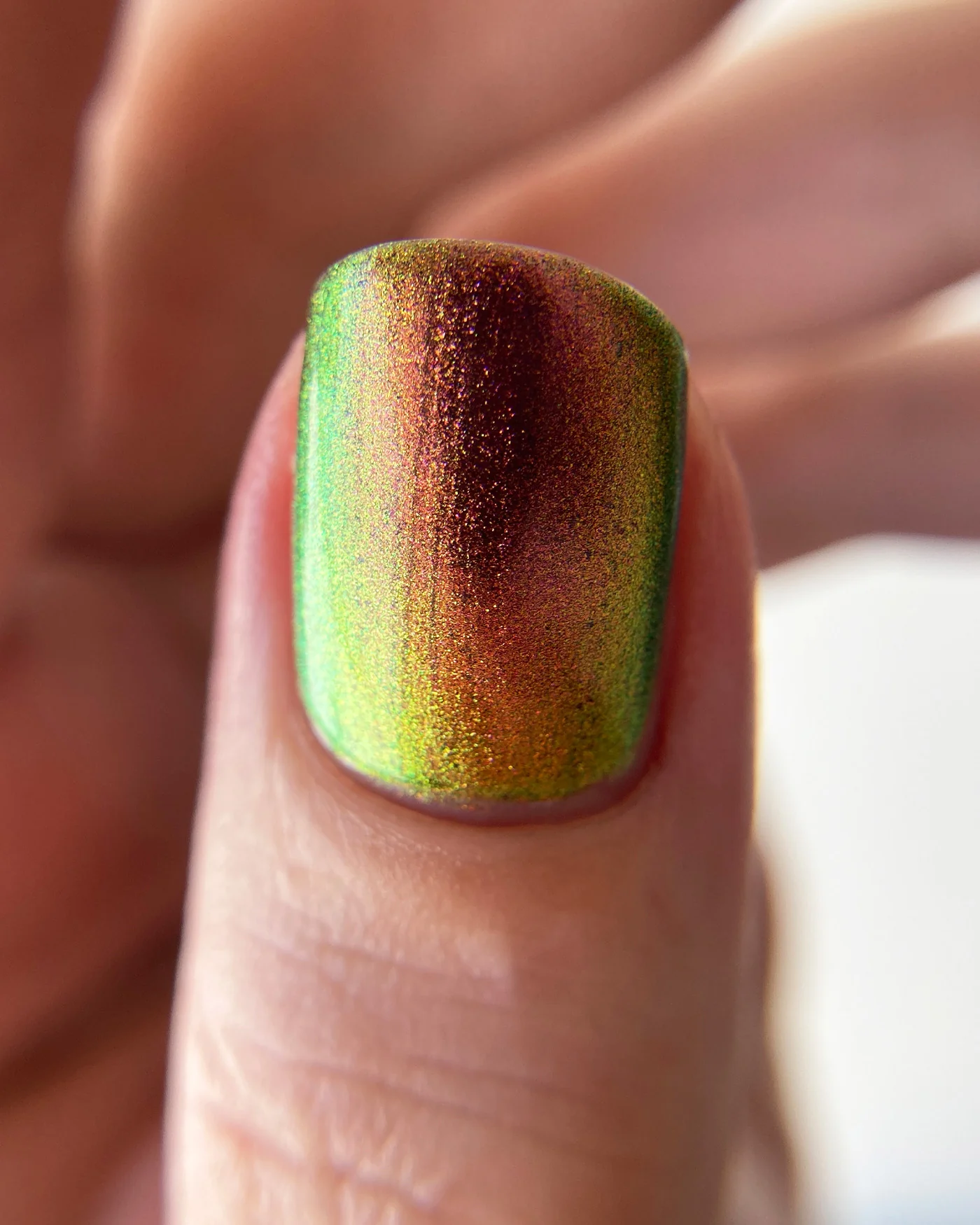 Jewel Beetle - Image 5