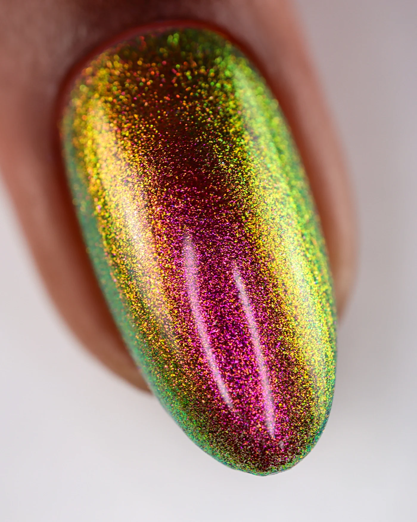 Jewel Beetle - Image 7