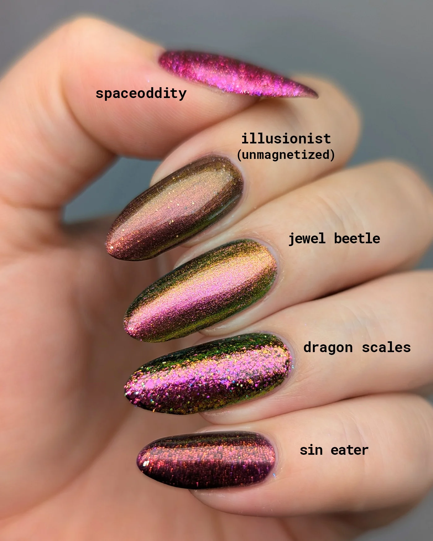 Jewel Beetle - Image 8