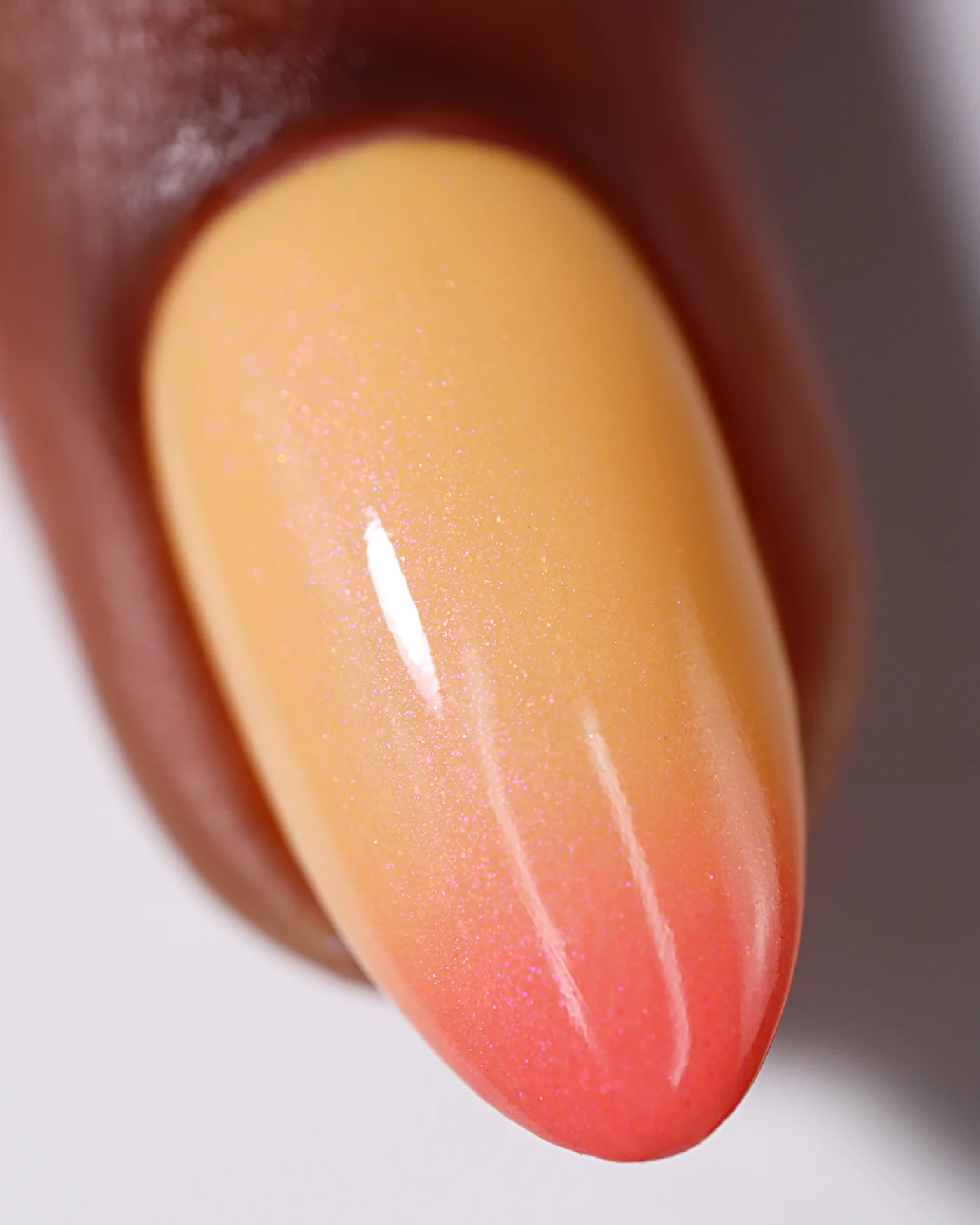 Koi Whiskers - Image 6
