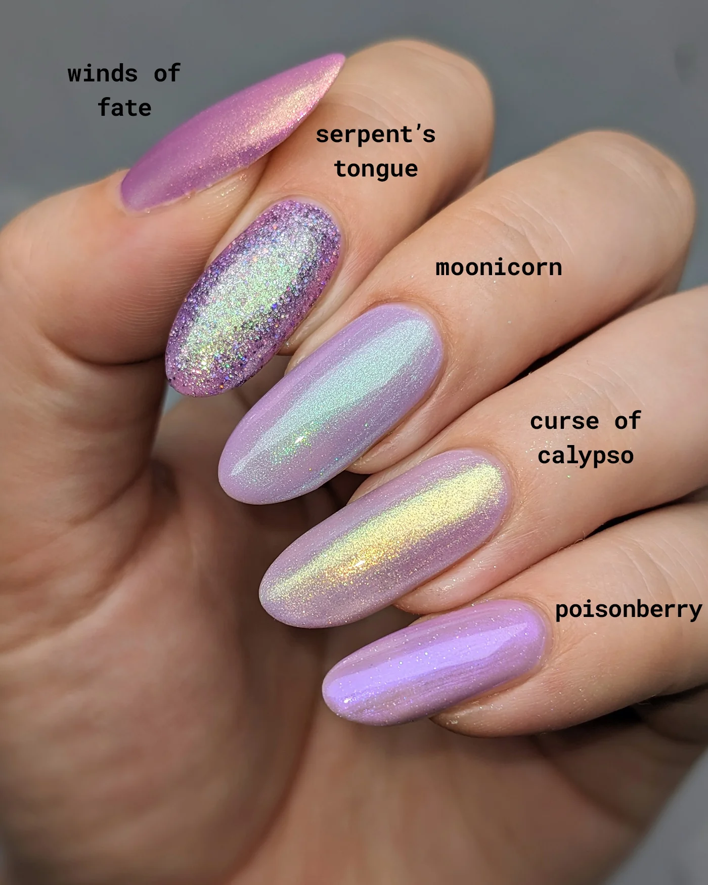 Moonicorn - Image 8